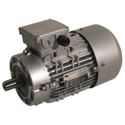 Moteur triphasé 2,2 kW pour chambre de malaxage Light, Plus Mono, Sprinter et Flatspray 10